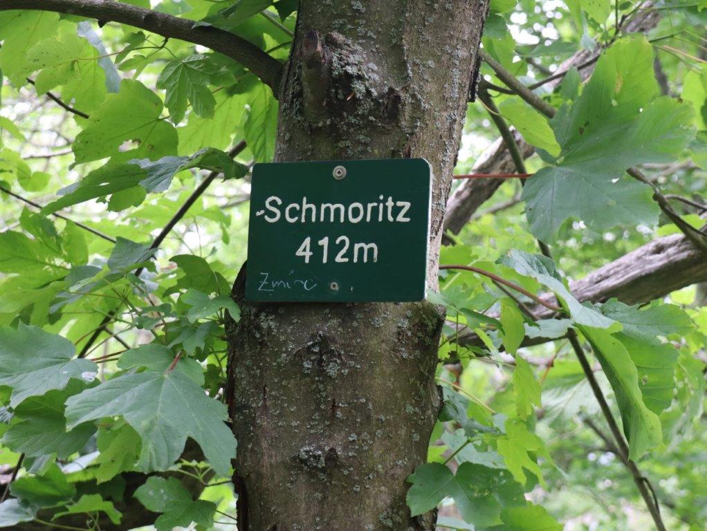 Schild mit Inschrift auf einem Baum befestigt