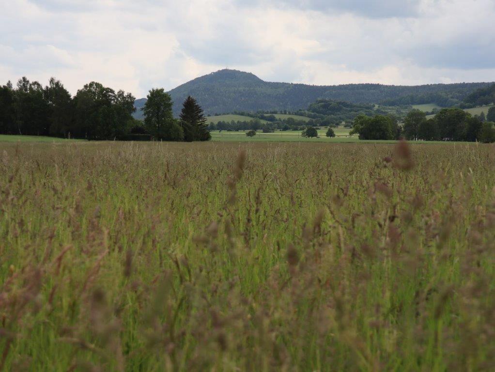 Blick vom Tal zum Berggipfel der Lausche